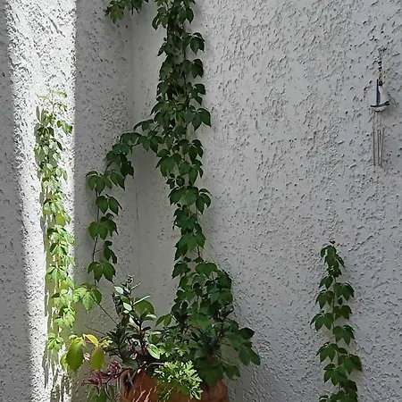 Athenian Asty Apartment *